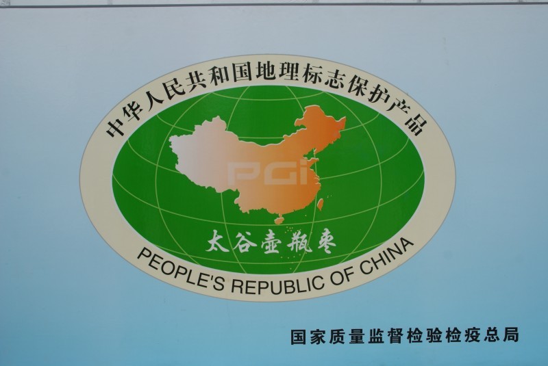 08  2007年，太谷壶瓶枣被国家质量监督检验检疫总局评为 中华人民共和国地理标志性保护产品   孙泰雁摄影